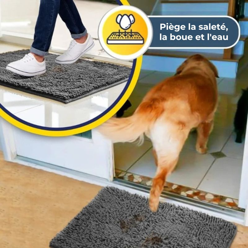 Tapis Clean - FIDEM